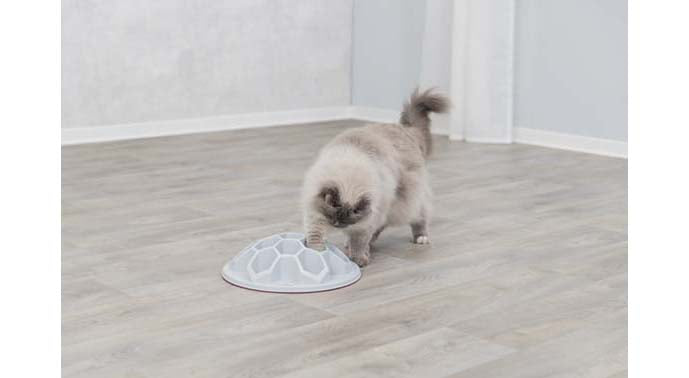 katt som leker med aktivitsleksak