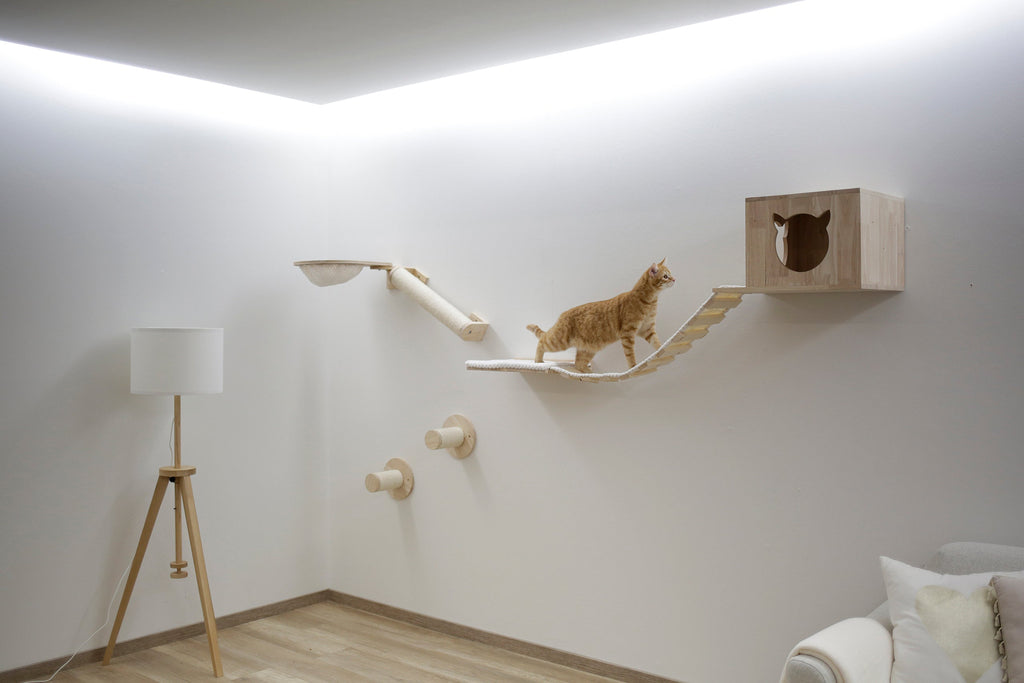 Klättervägg fäst på vägg med katt