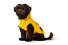 Liten hund som har på sig gult regntäcke