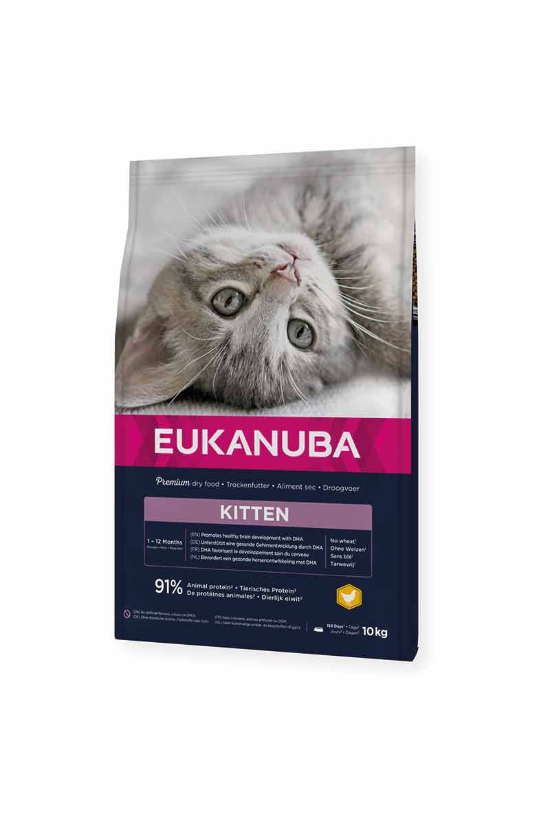 Eukanuba Cat Kitten Fresh Chicken 10 kg