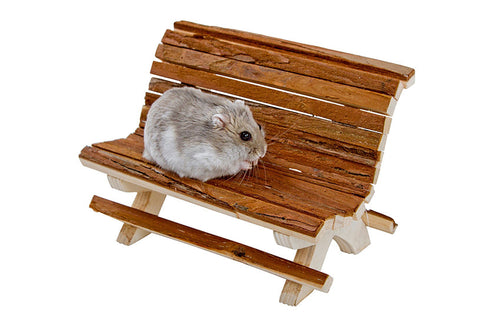 Träbänk med hamster på