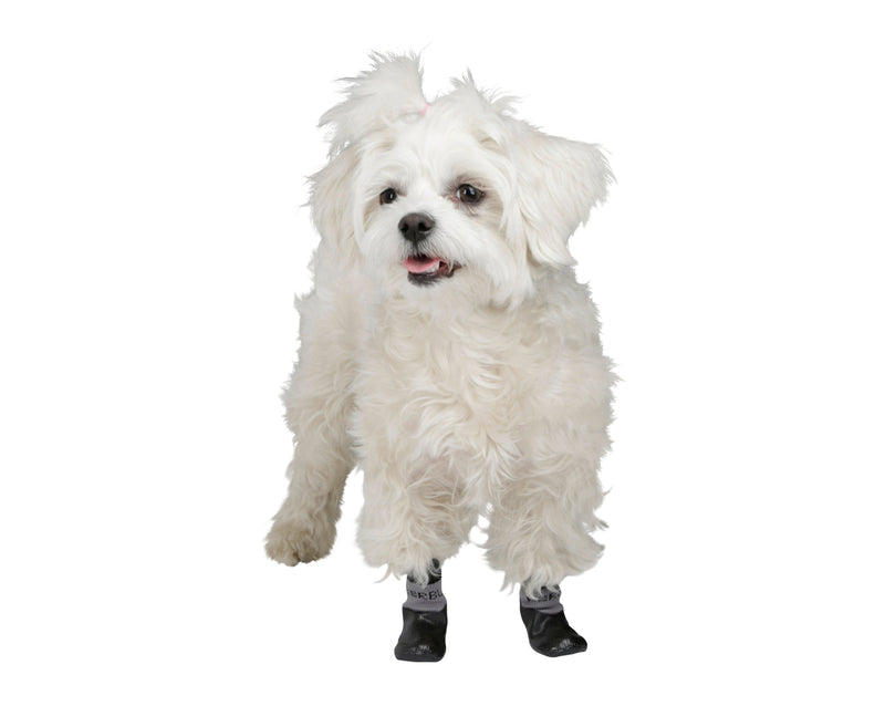 Vit stående hund som har hundstrumpa i svart/grått på sig.