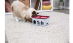 katt som leker med aktivitets box