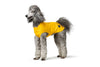 Stor hund som har på sig gult regntäcke