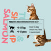 Bild på rekommendationer om mängd mat per kg som katten väger.
