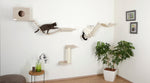 Klättervägg fäst på vägg med 2 katter