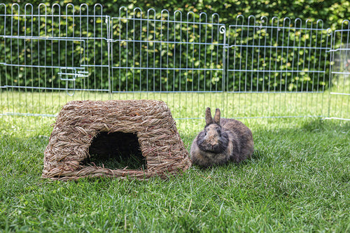 Gräshus på gräsmatta med kanin bredvid 