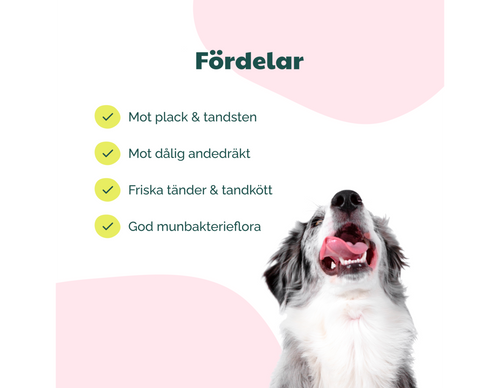 BuddyCare Teeth Formula