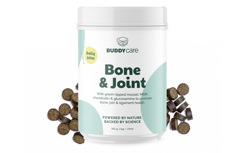 BuddyCare Bone & Joint Chews